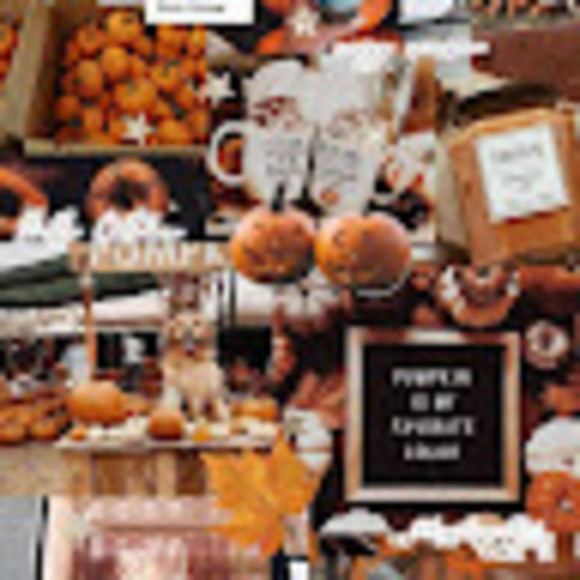 Meet your Posher, Audrey - Picture 1 of 1